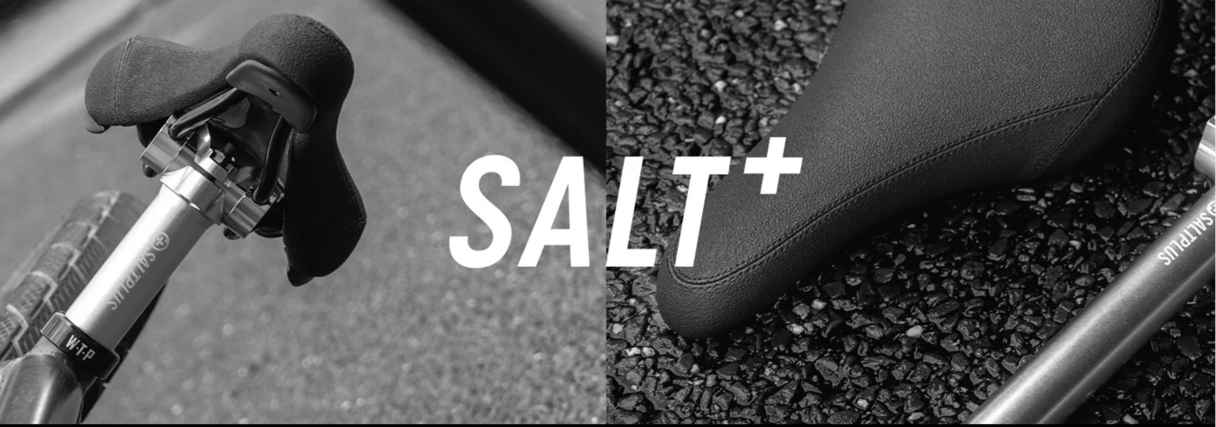 SaltPlus