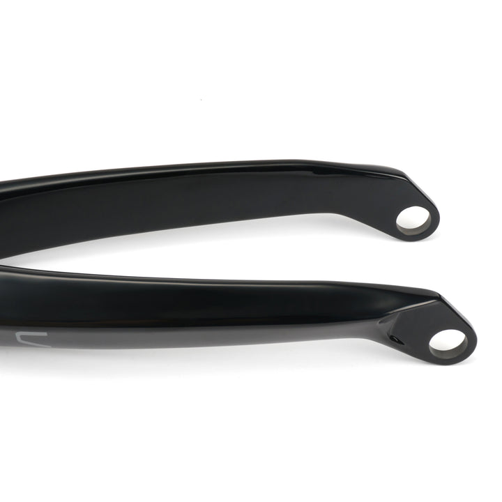 Arise Solar Pro Fork