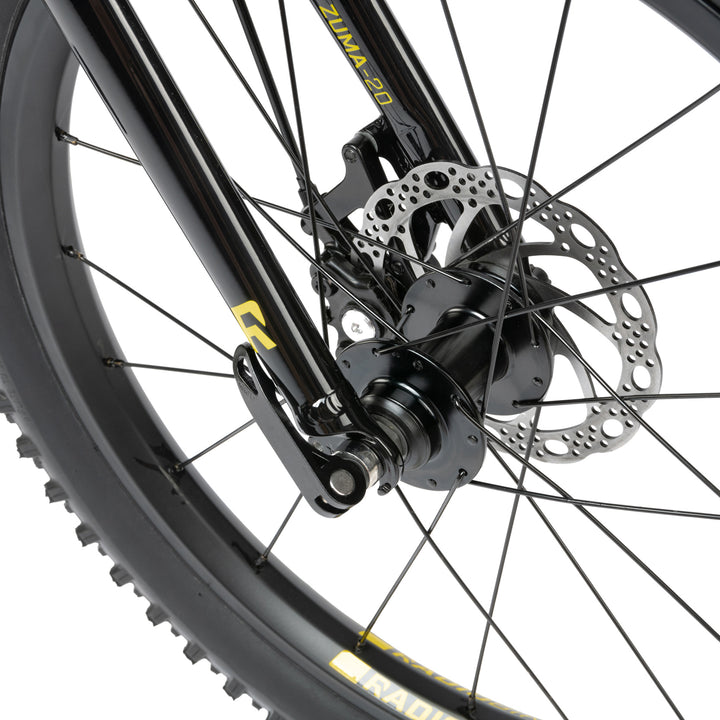 RADIO ZUMA 20 COMPLETE BIKE