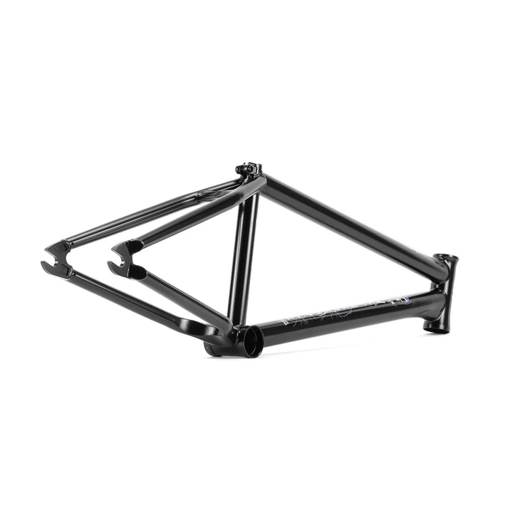 Network Frame "Dan Kruk" Signature