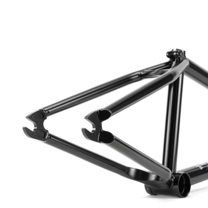 Network Frame "Dan Kruk" Signature