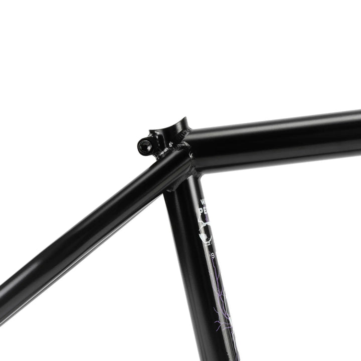 Network Frame "Dan Kruk" Signature