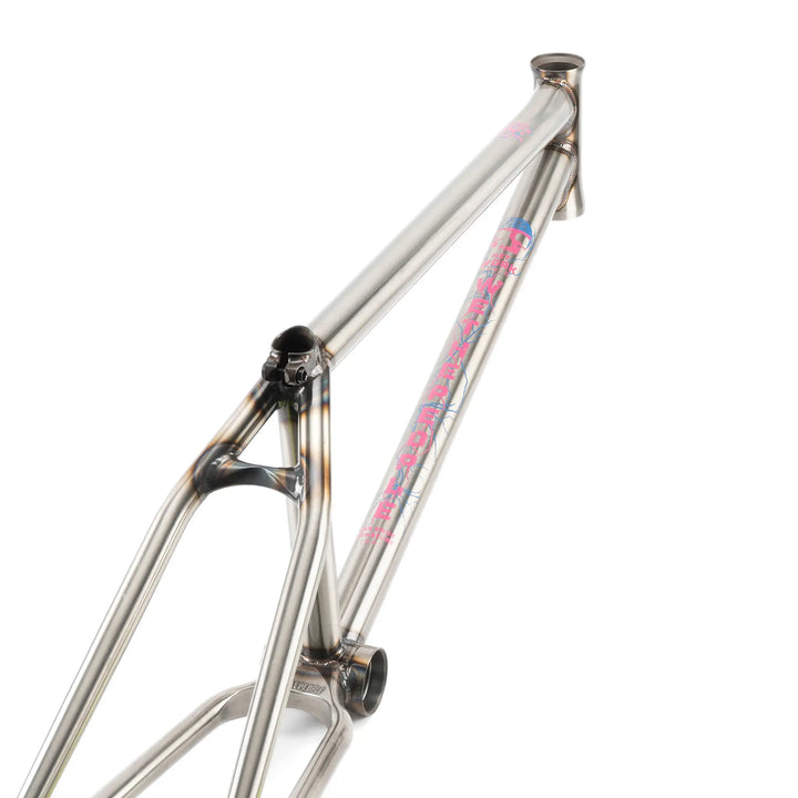 Network Frame "Dan Kruk" Signature