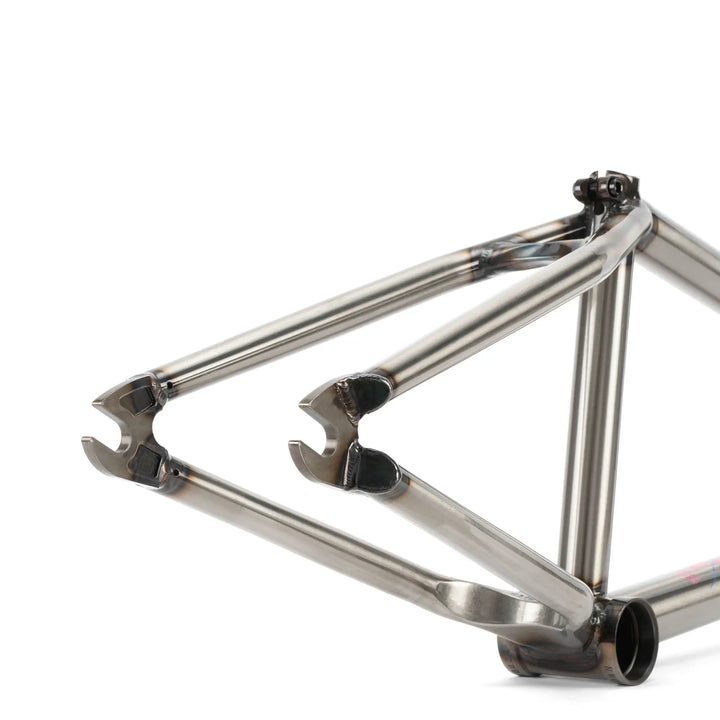 Network Frame "Dan Kruk" Signature