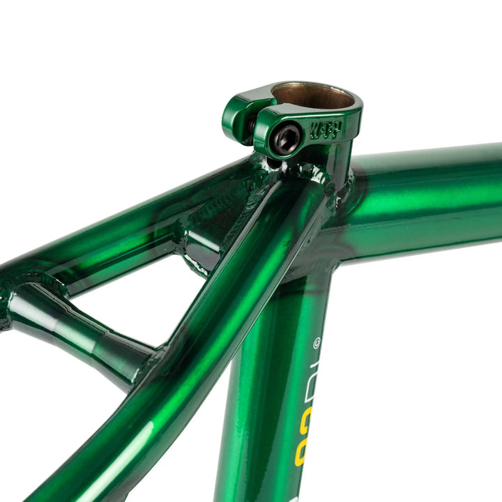 Buck Frame "Dillon Lloyd" Signature