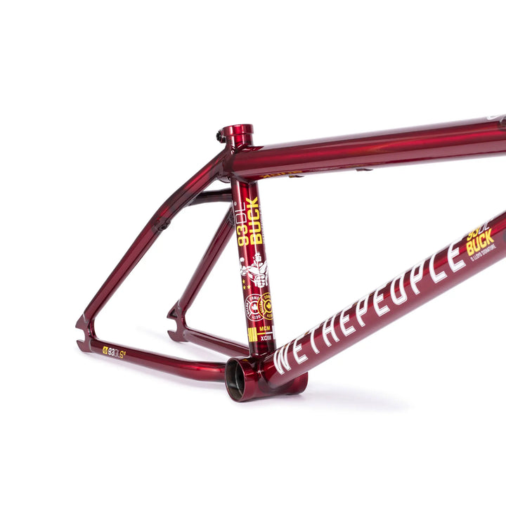 Buck Frame "Dillon Lloyd" Signature