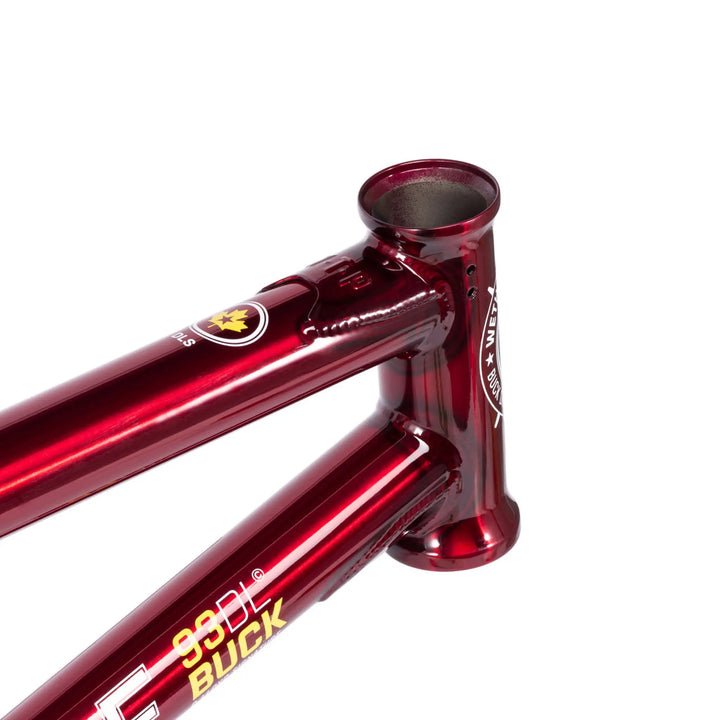 Buck Frame "Dillon Lloyd" Signature