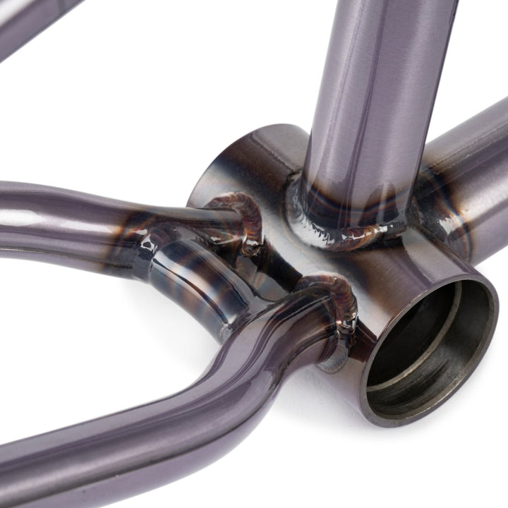 Pathfinder Frame / Felix Prangenberg Signature