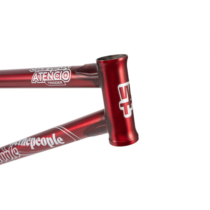 WETHEPEOPLE TRIGGER FRAME