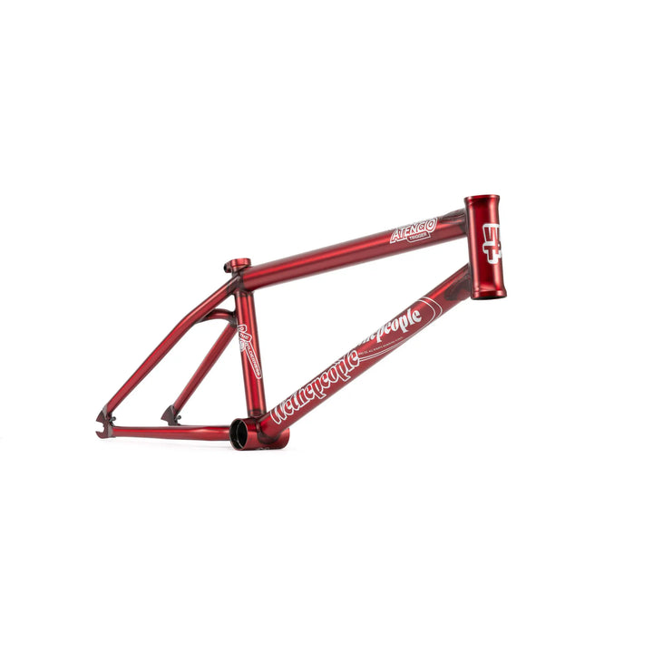 WETHEPEOPLE TRIGGER FRAME