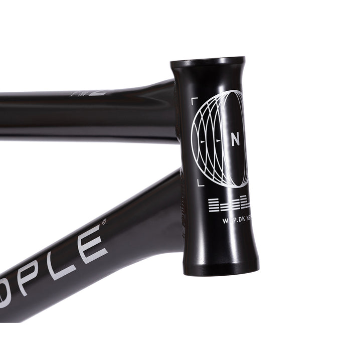 Network Frame "Dan Kruk" Signature