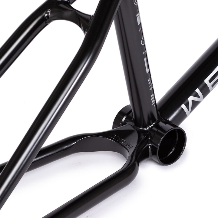 Network Frame "Dan Kruk" Signature