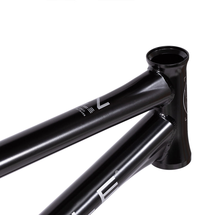 Network Frame "Dan Kruk" Signature