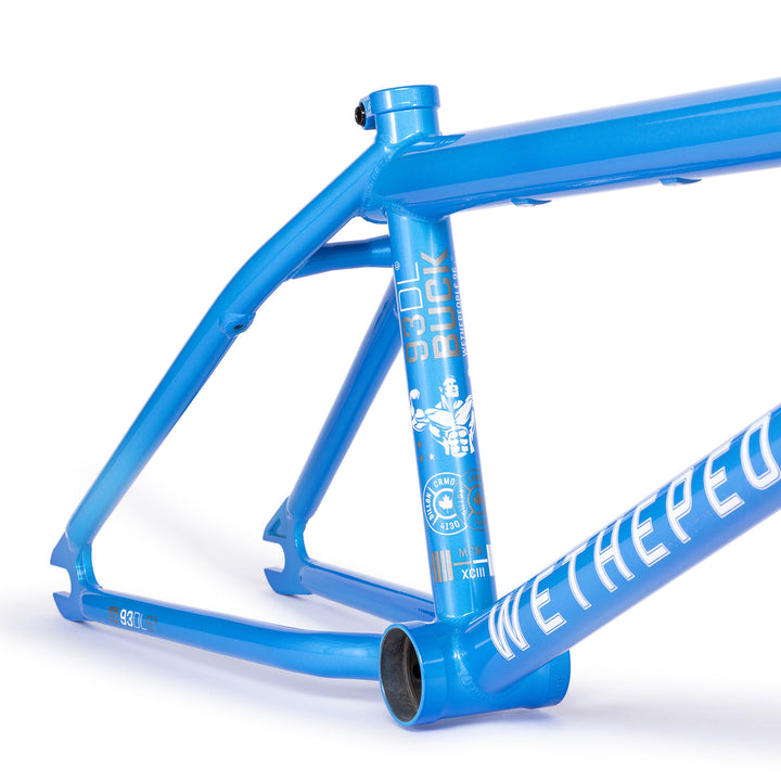 Buck Frame "Dillon Lloyd" Signature