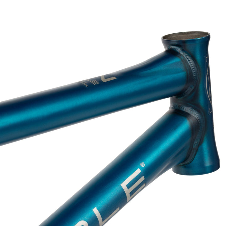 Network Frame "Dan Kruk" Signature