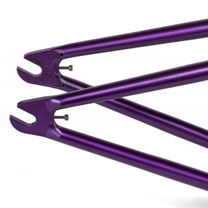Doomsayer Frame "Jordan Godwin" Signature
