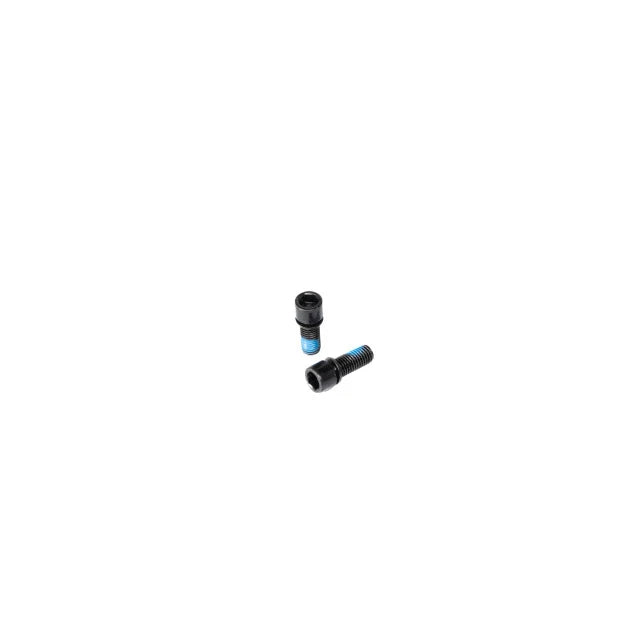 SALT Crank Arm Pinch Bolt