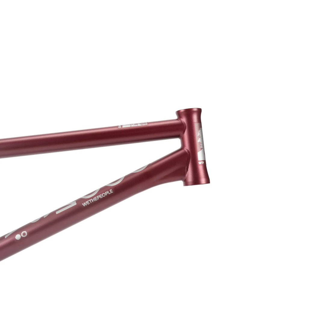 Doomsayer Frame "Jordan Godwin" Signature