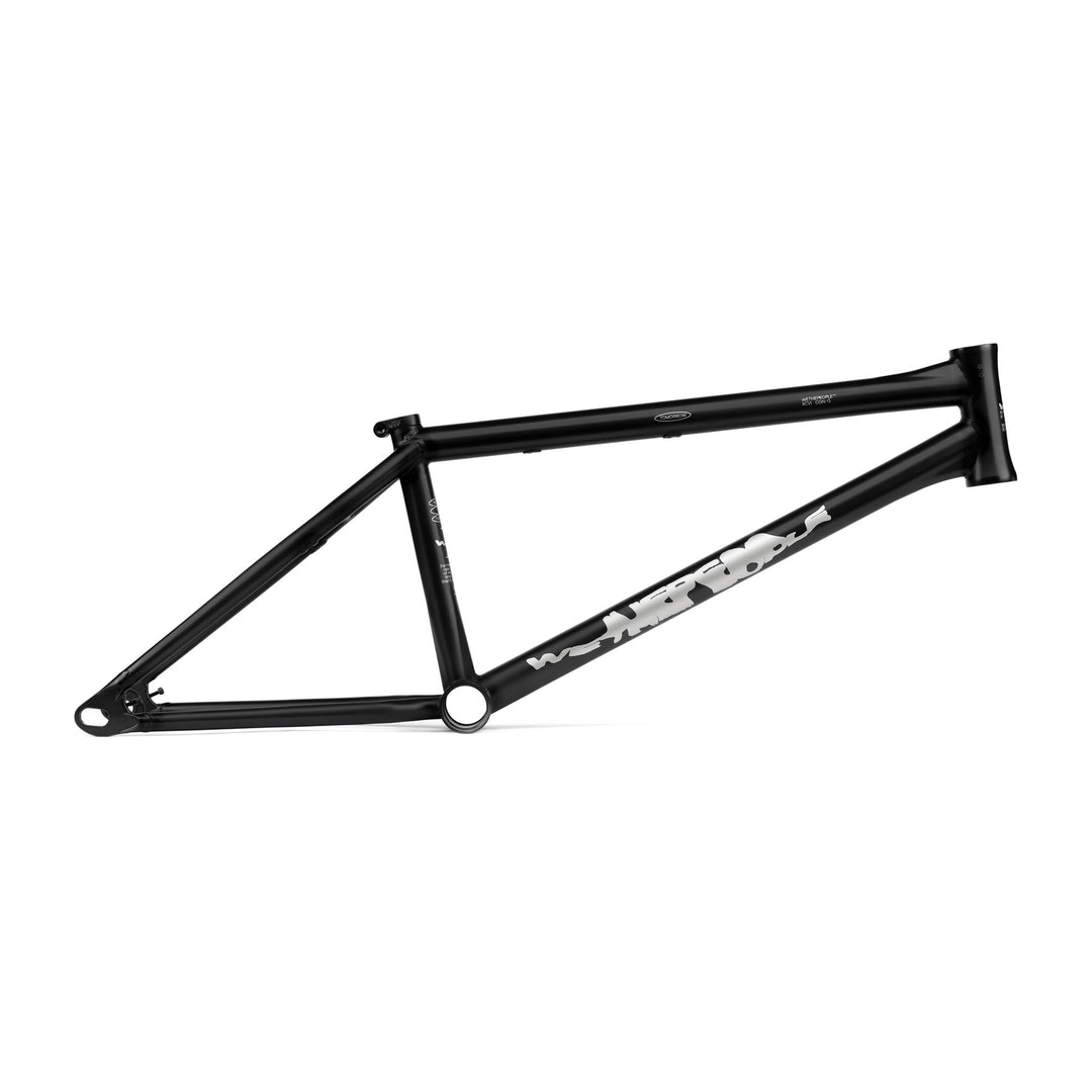 WETHEPEOPLE TOMORROW FRAME