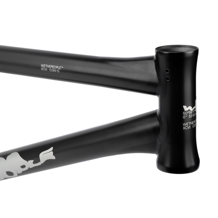 WETHEPEOPLE TOMORROW FRAME