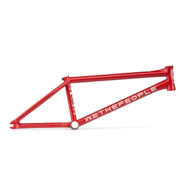 Network Frame "Dan Kruk" Signature