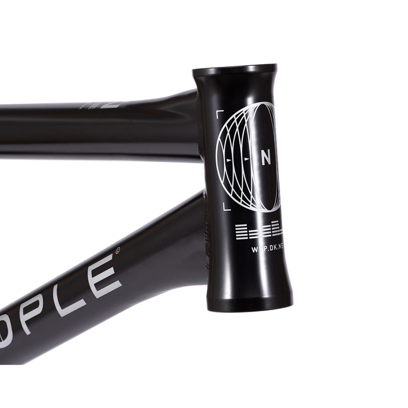 Network Frame "Dan Kruk" Signature