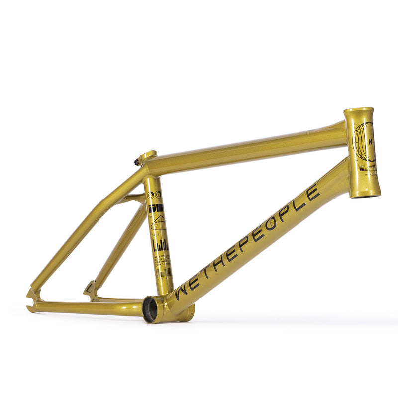 Network Frame "Dan Kruk" Signature