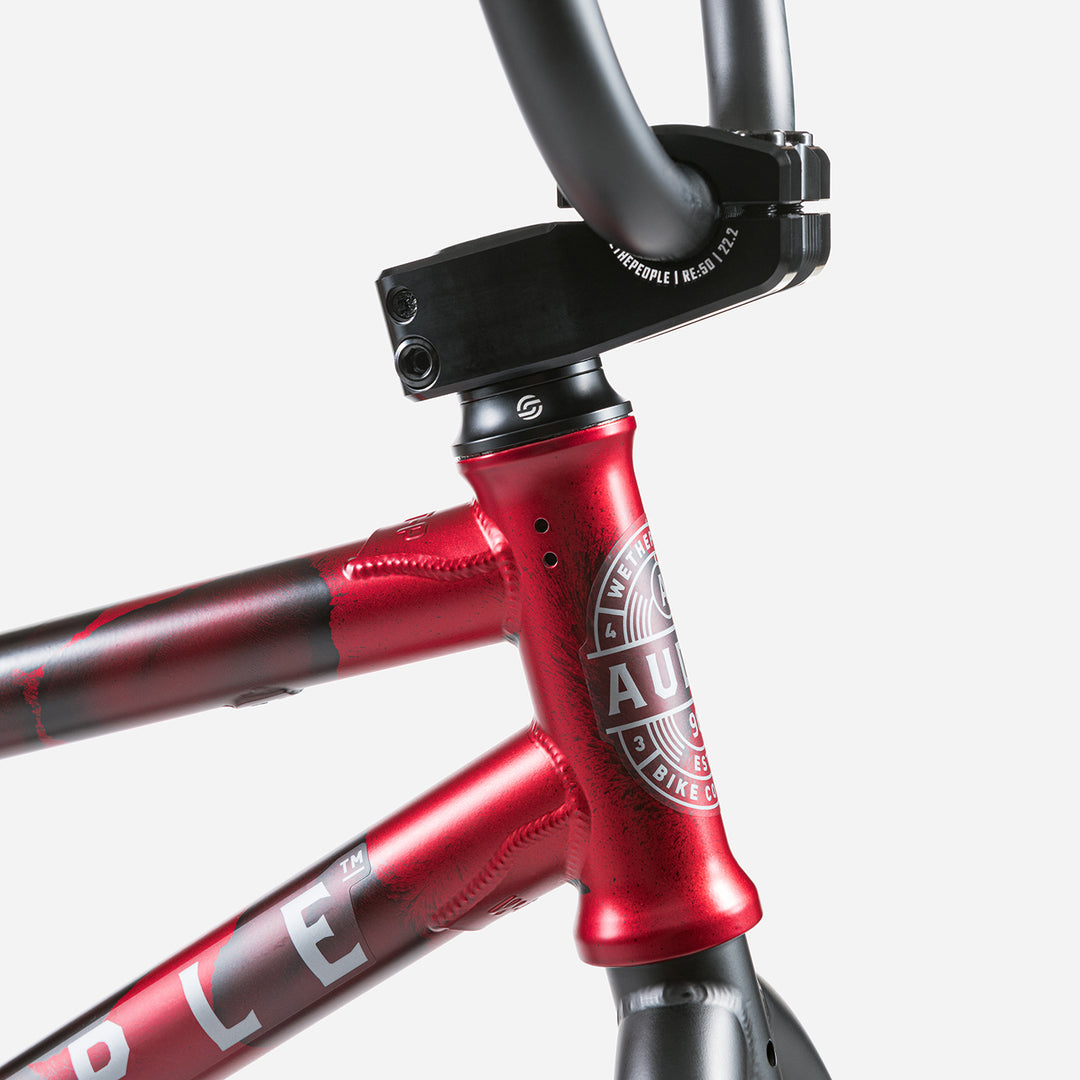 Vélo complet audio 22"