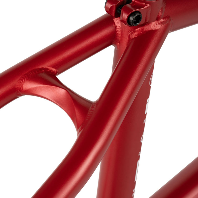 Network Frame "Dan Kruk" Signature