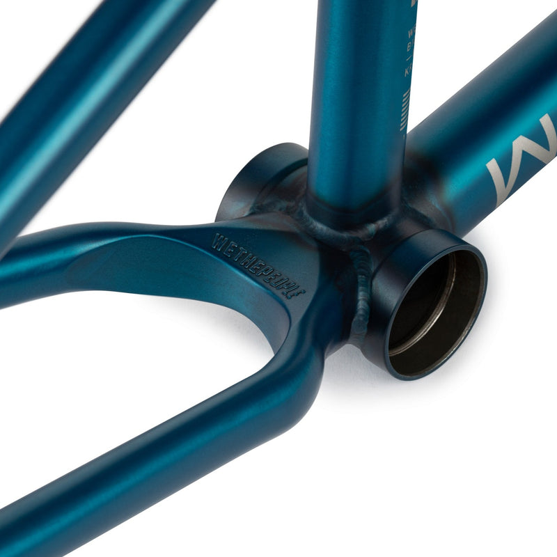 Network Frame "Dan Kruk" Signature